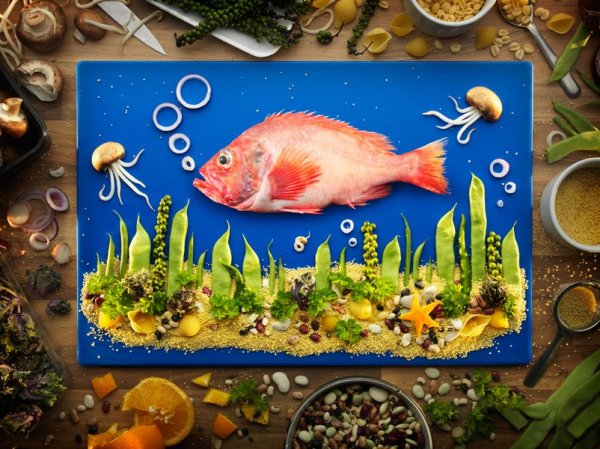 Fish-Board