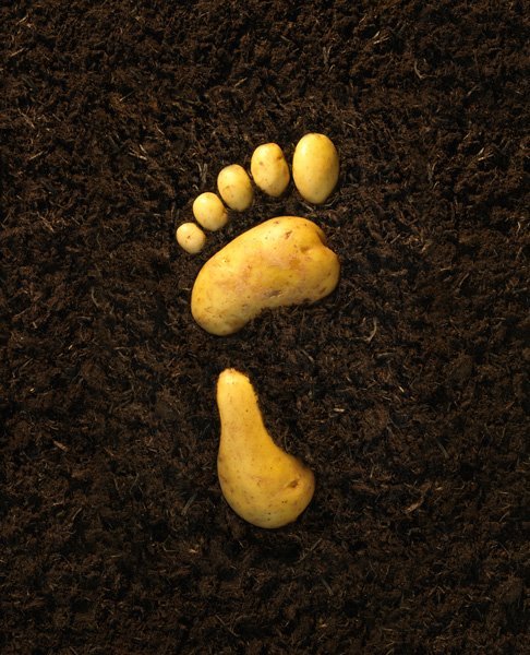 Potato-Print