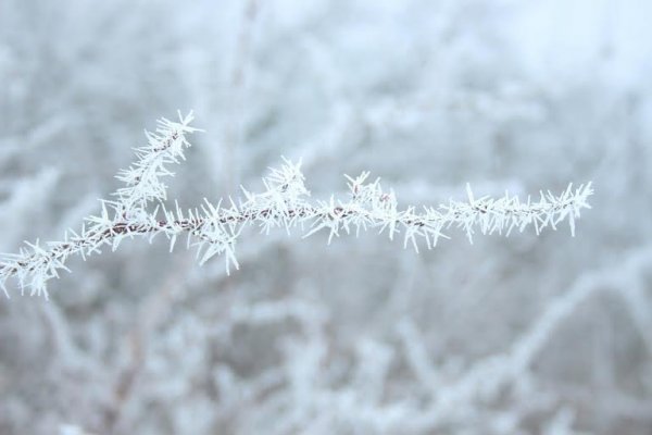 45db6493-a407-4fd2-a450-69856eaa3914