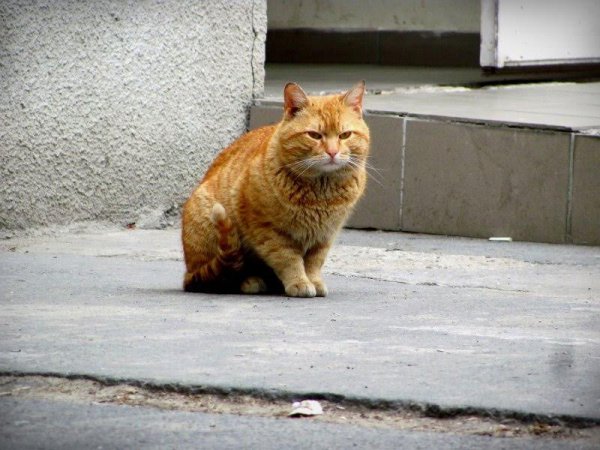 59b1007e-68a1-4a13-88f6-16d2d7d0b382