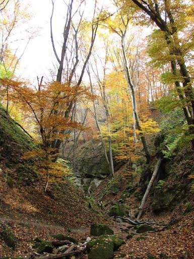 5e5c0716-43b8-4e03-95f4-0af7415c367f