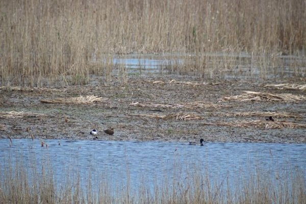 7c047193-eb34-4bf7-b968-1fa8184d9396